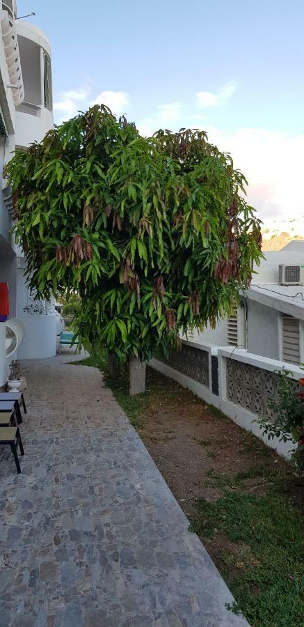 Luxury 2 Bedroom 50 M From Appartement *