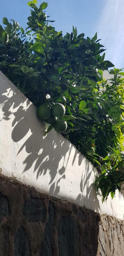 Pousada Lovely 2 Bedroom House With Private Garden *