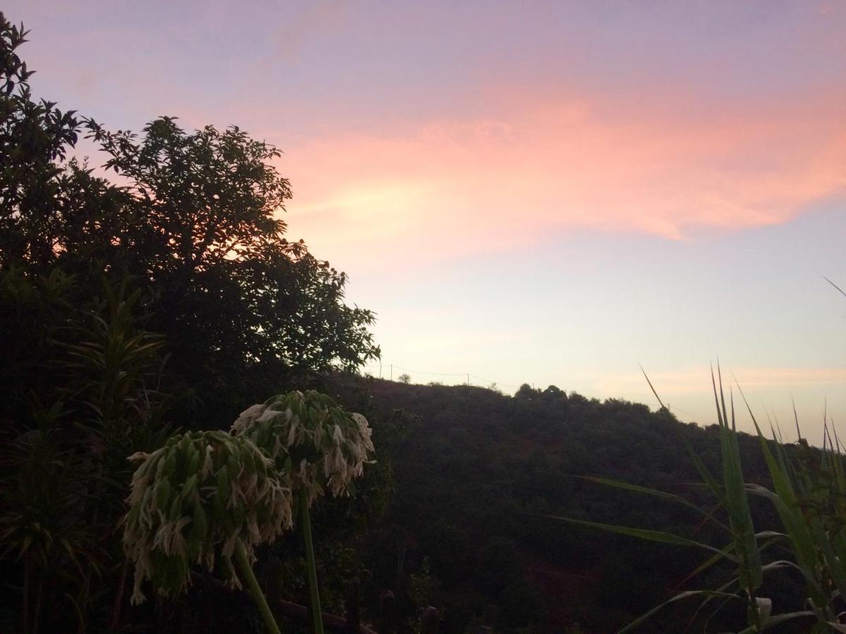 Bella Doramas Panchita & Millo Holiday home Moya (Gran Canaria)