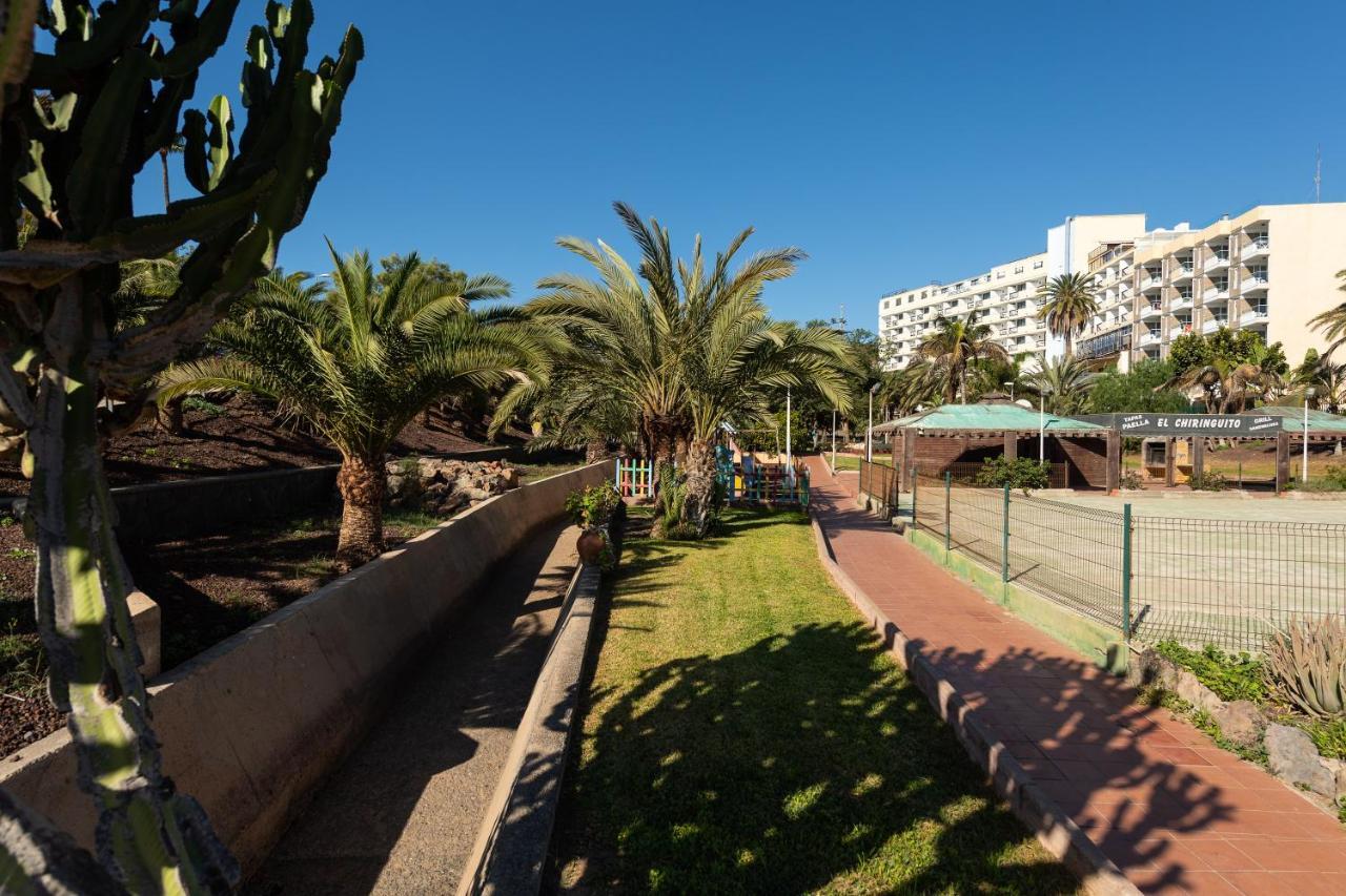 B Slow Condor * San Agustin (Gran Canaria)