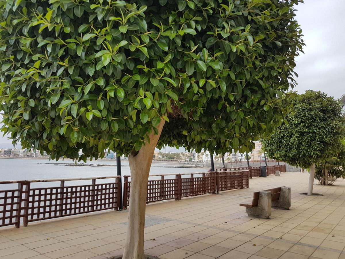 Canariasbrisamar - * Arinaga