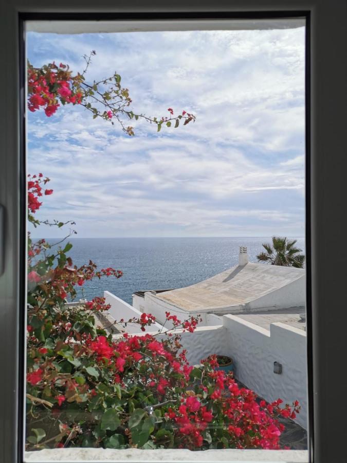 Seaviews And Flowers * San Agustín