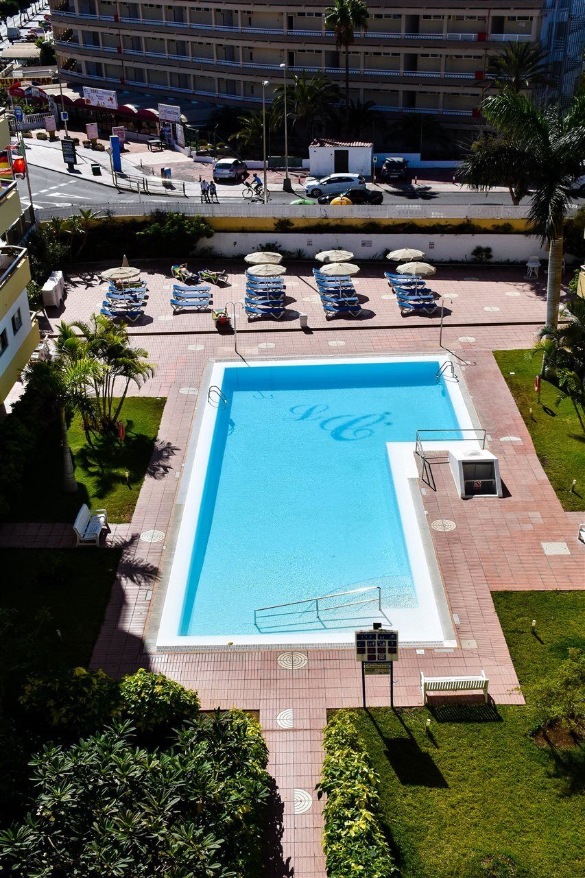 Camelias Playa del Ingles (Gran Canaria)