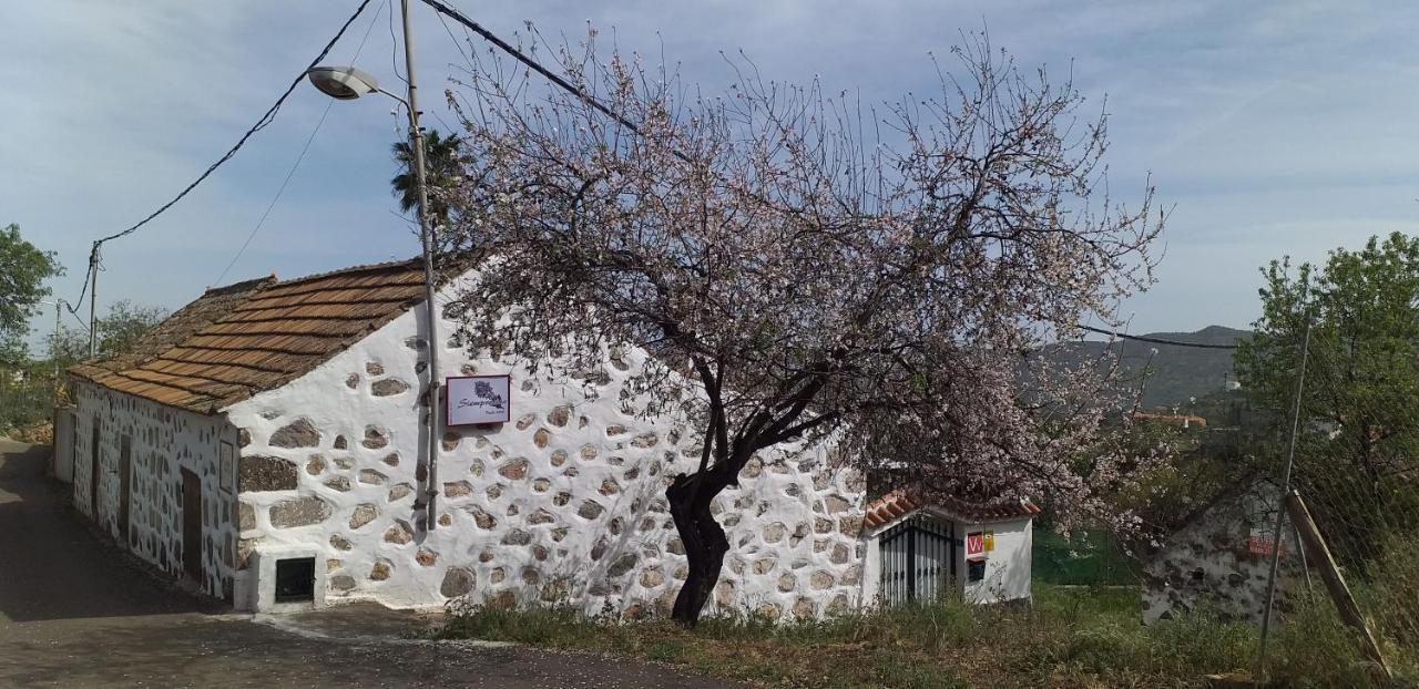 Siempreviva * Las Palmas de Gran Canaria