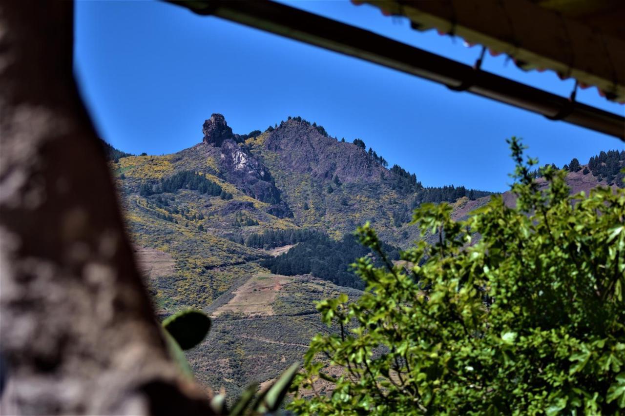 Ferienhaus Viuter Rural Cave House El Refugio De Miguel