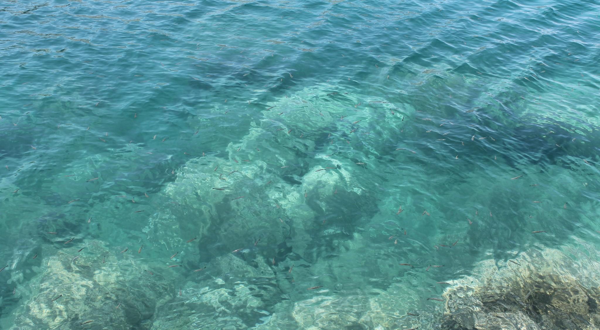 Oyo Bora Bora The *