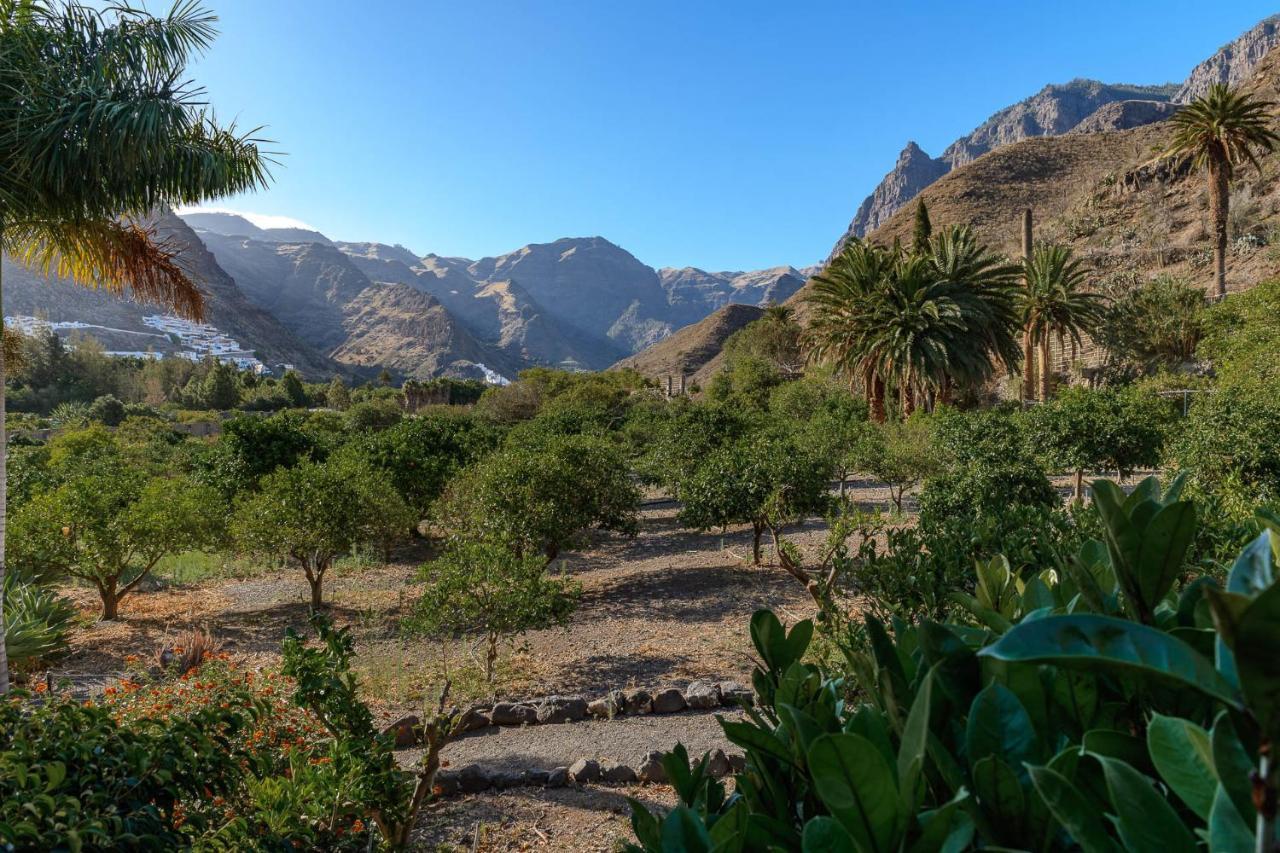 Rural Longueras 3* Agaete (Gran Canaria)