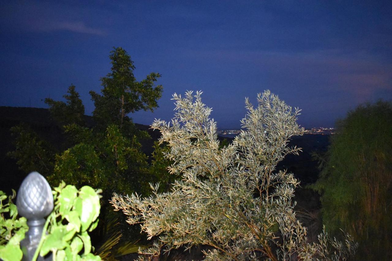 Romantica Bed & Breakfast San Bartolome de Tirajana (Gran Canaria)