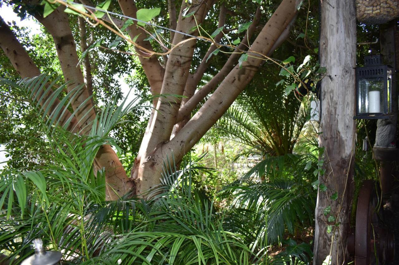 Romantica Bed & Breakfast San Bartolome de Tirajana (Gran Canaria)