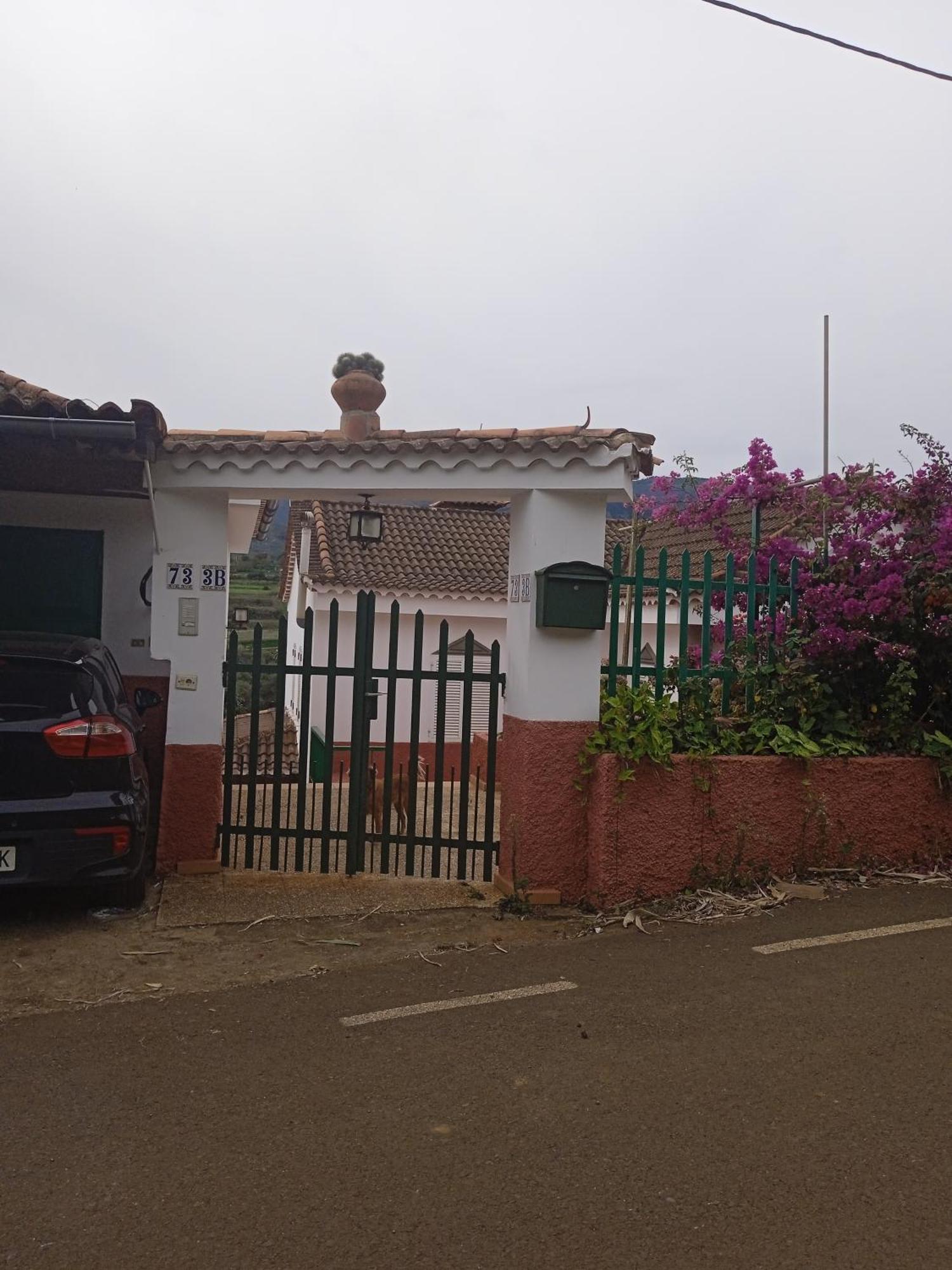 Mar De Flores Vega de San Mateo