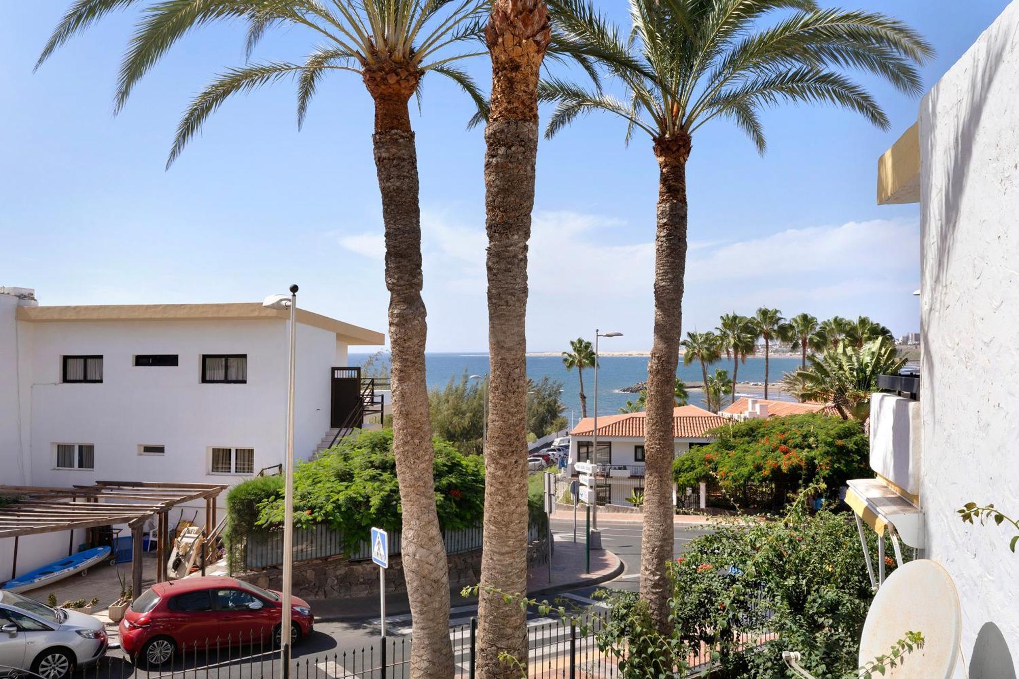 Flores1 * San Bartolome de Tirajana (Gran Canaria)