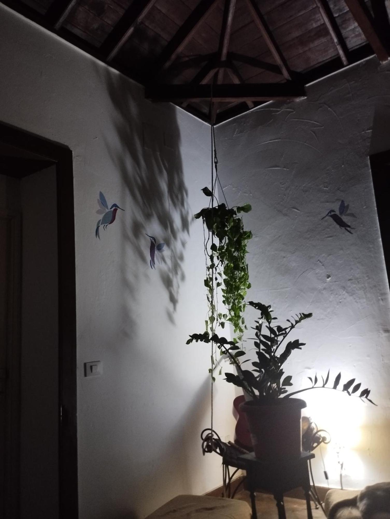 Acoran Family Guests House With Included Morning Yoga Practice Firgas
