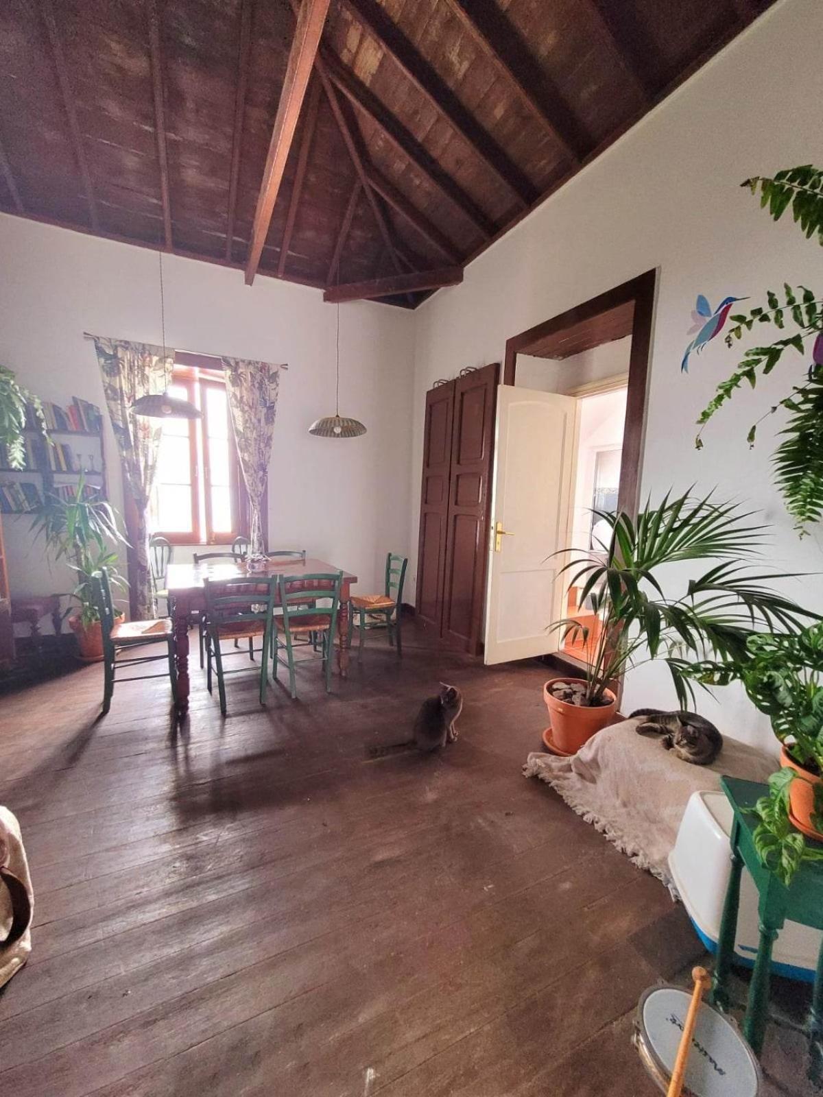 Acoran Family Guests House With Included Morning Yoga Practice Firgas