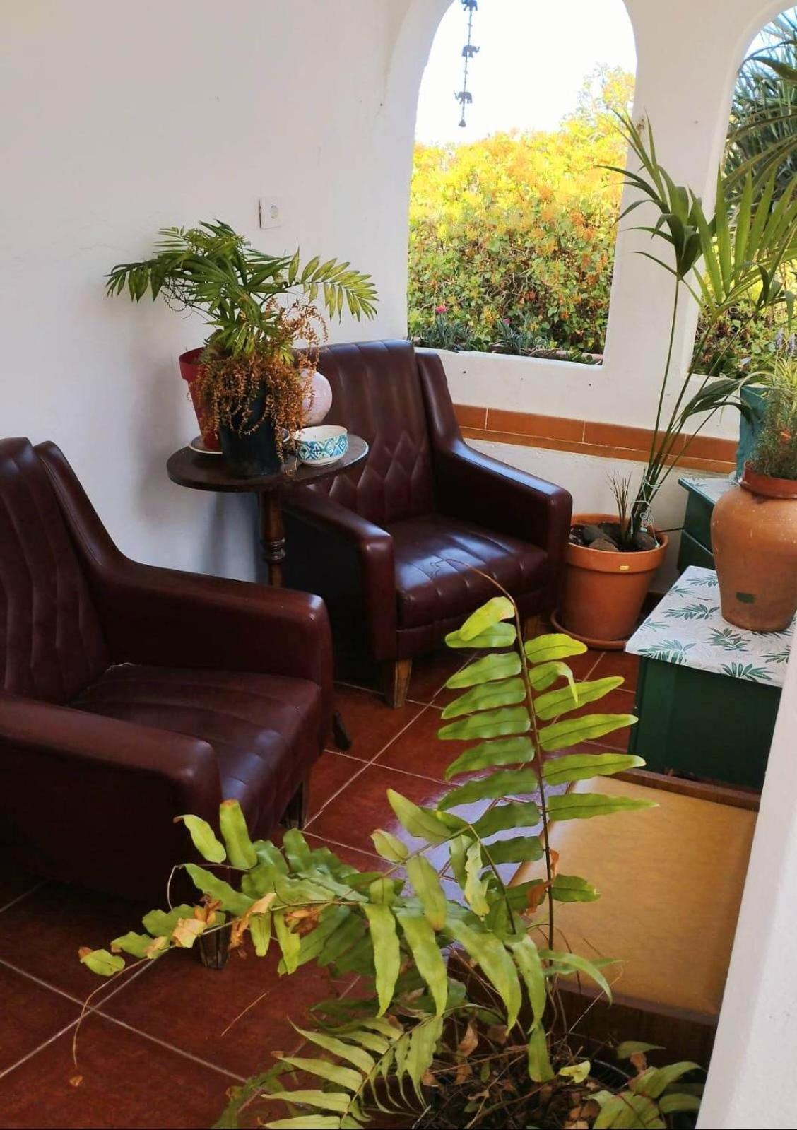 Acoran Family Guests House With Included Morning Yoga Practice * Firgas