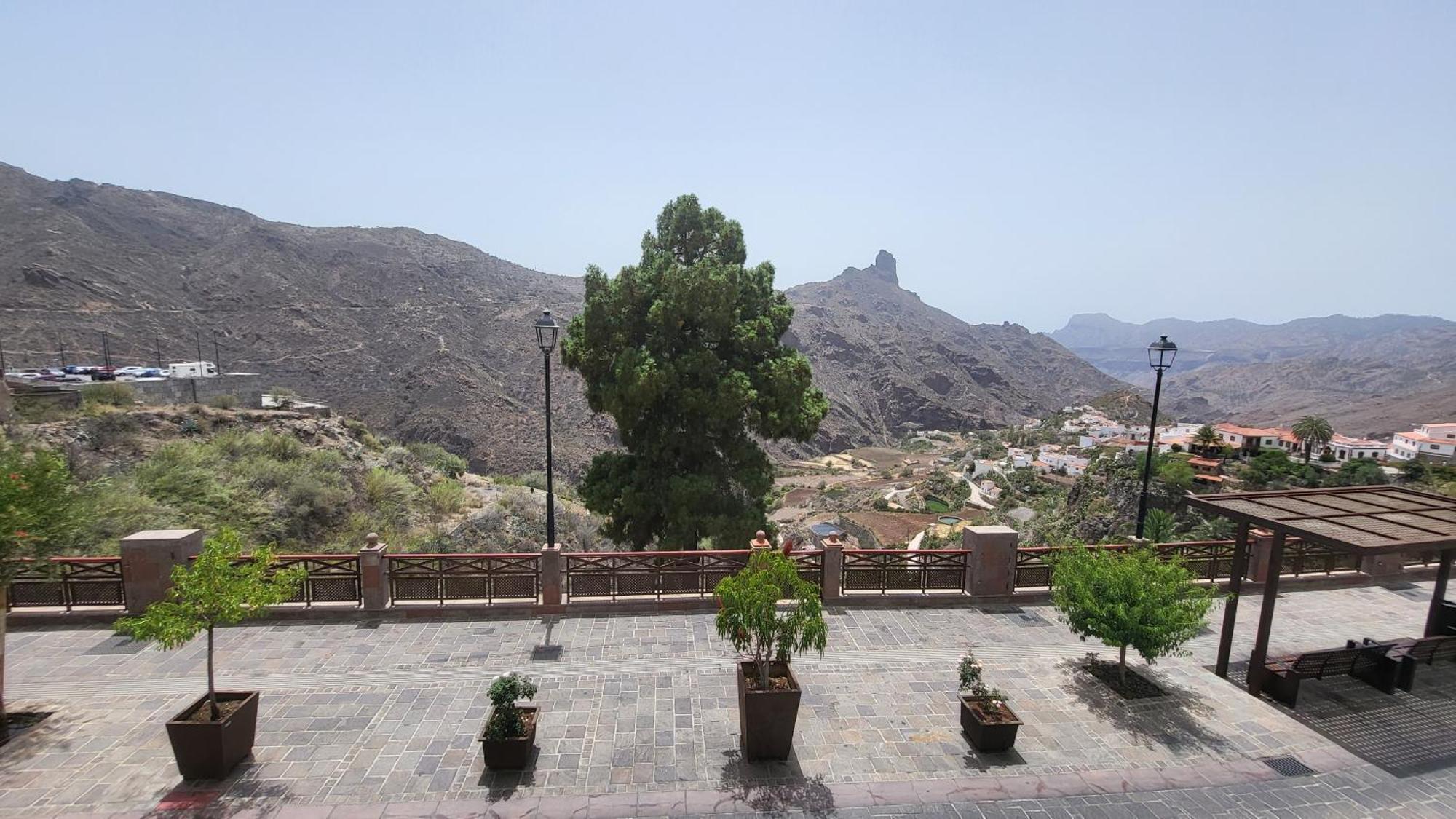 Texeda Tejeda (Gran Canaria)