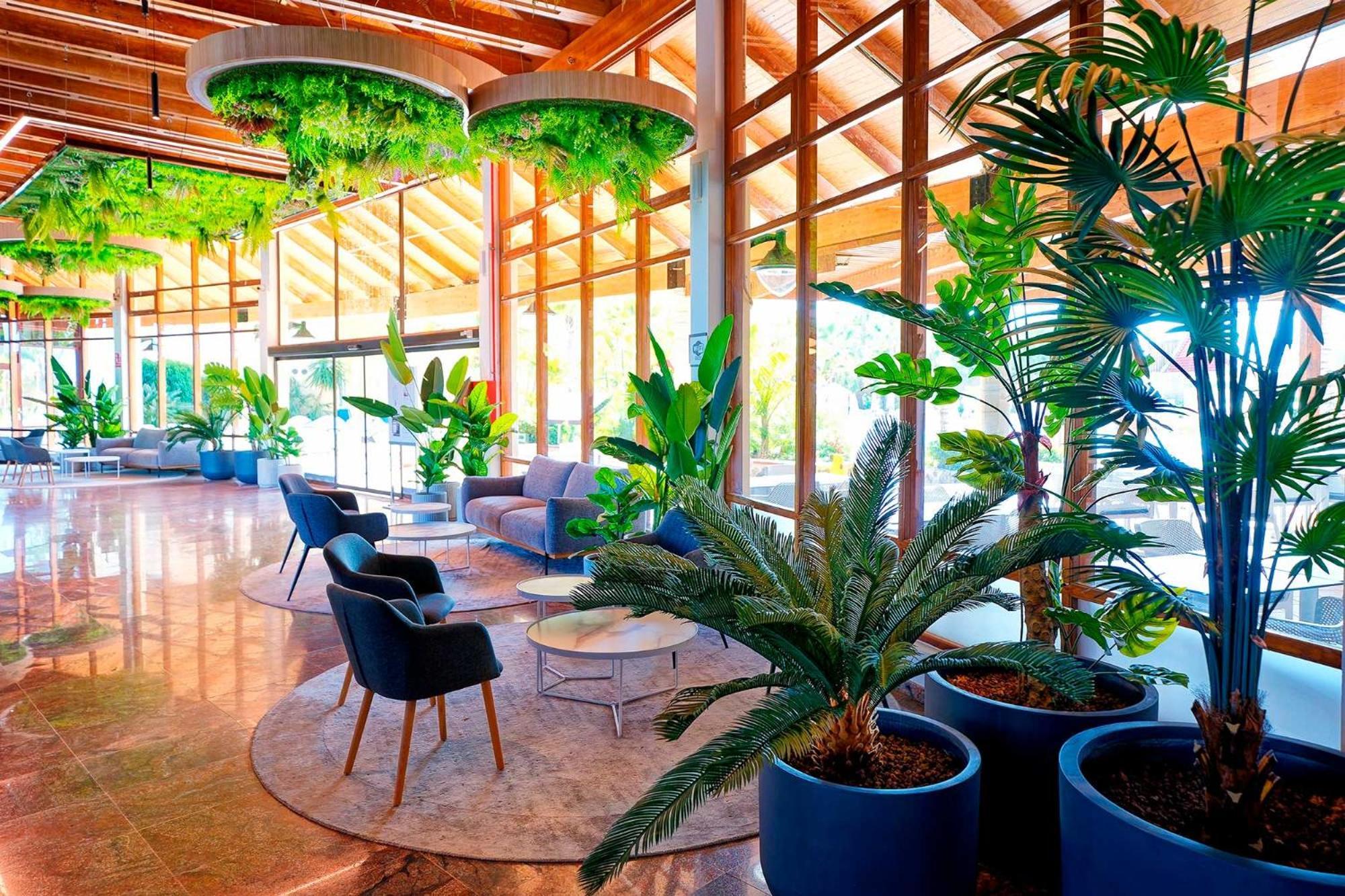 Aparthotel Servatur Monte Feliz - Powered By Playitas Playa Del Aguila (Las Palmas)