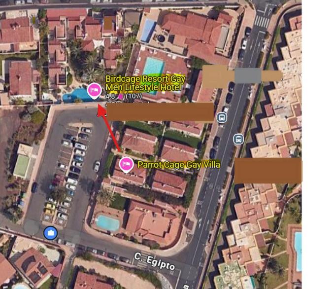 Birdcage Gay Men And Lifestyle (adults Only) Playa del Inglés