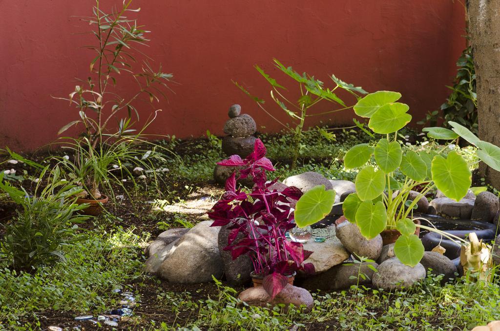Bed & Breakfast Katanka Las Palmas de Gran Canaria