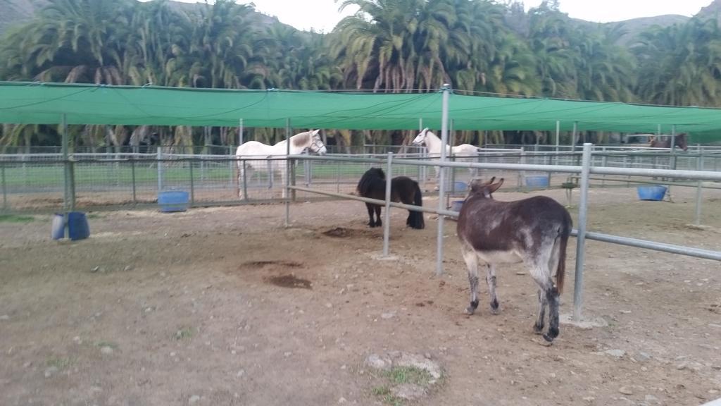 Finca El Molino De Agua