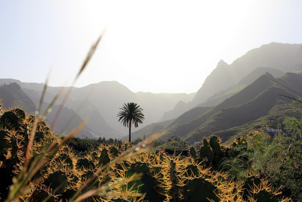 La Papaya - Eco - Yoga - Hiking - Hostel