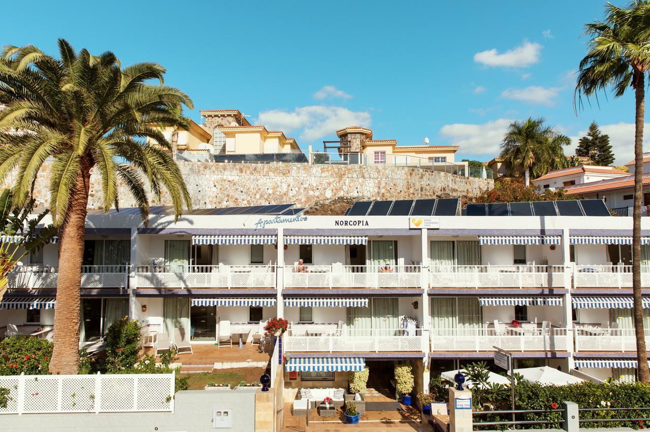 Norcopia * San Agustín