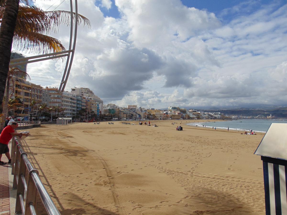Coral * San Agustin (Gran Canaria)