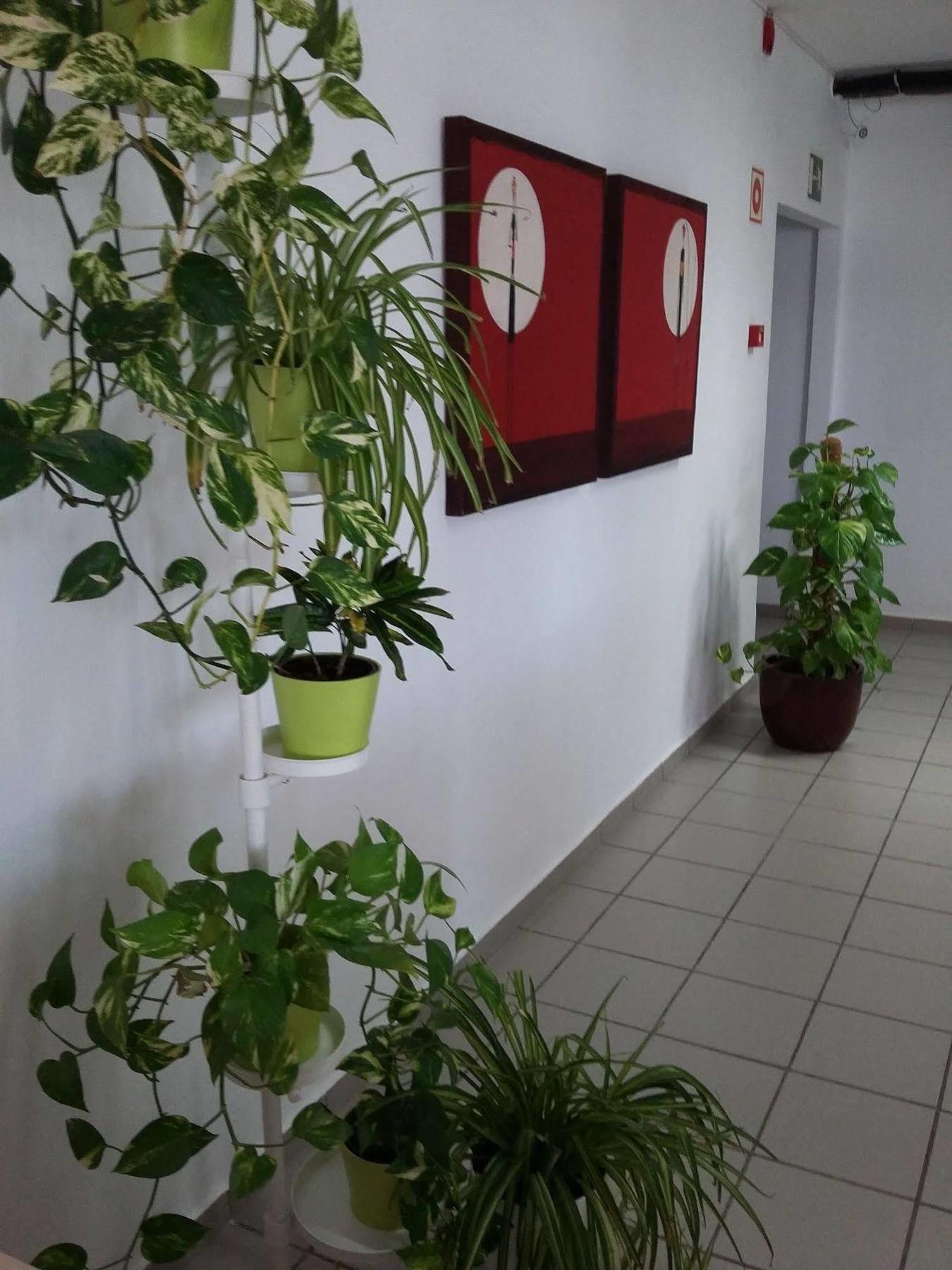 Ciw Hostel