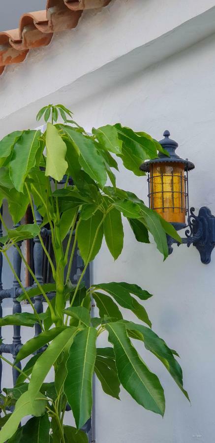 Essence Of Monteleon Country house San Bartolome de Tirajana (Gran Canaria)