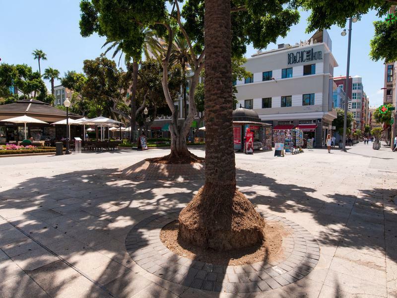 Kasa Las Palmas de Gran Canaria