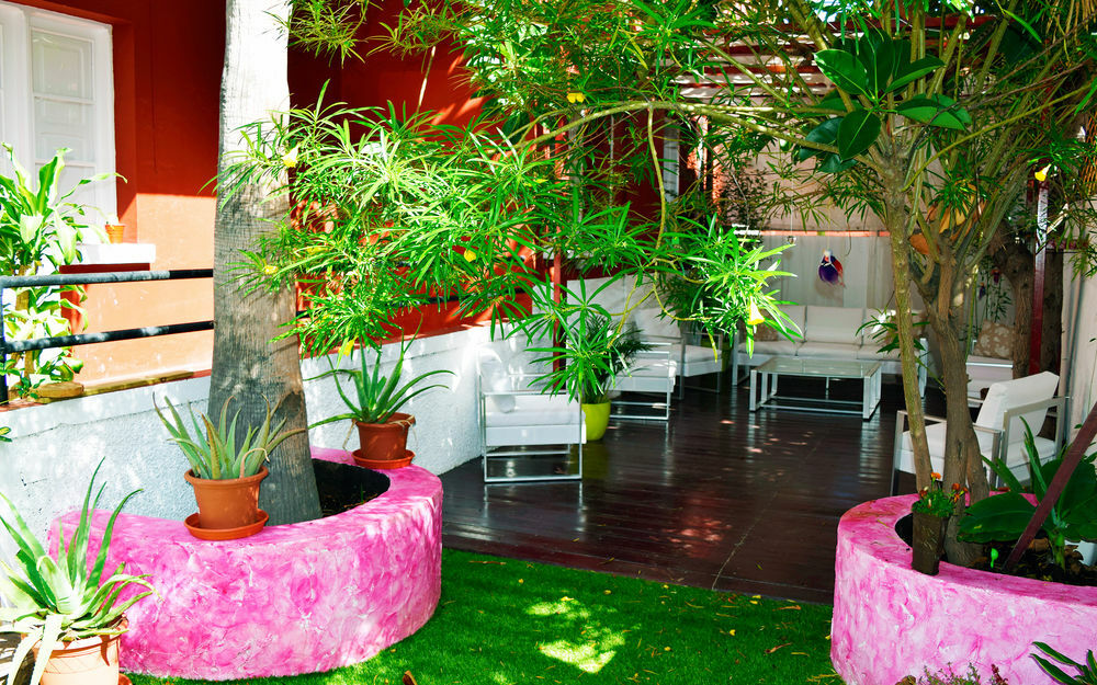 Katanka Las Palmas de Gran Canaria