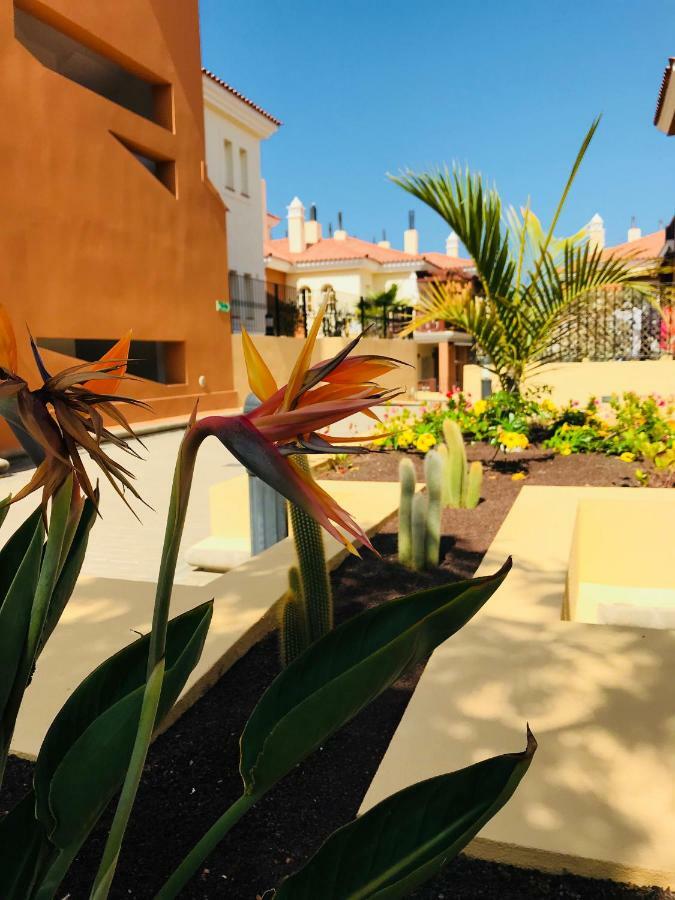 Apartment La Casa Canaria La Playa de Arguineguín