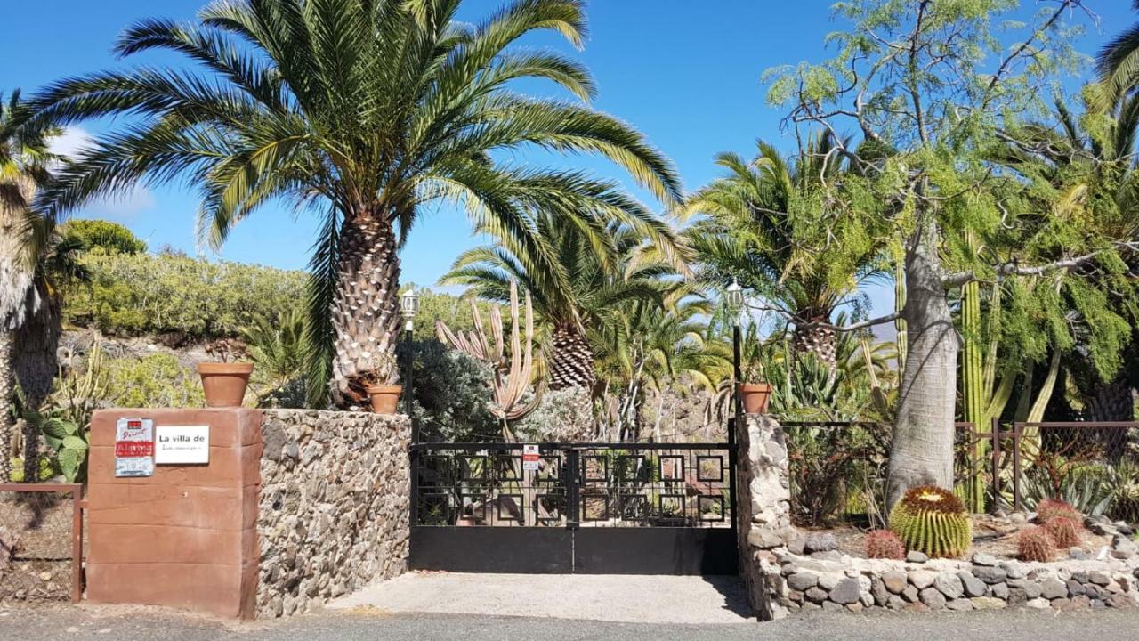 De Cactualdea San Nicolas