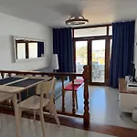 Tamarán 309