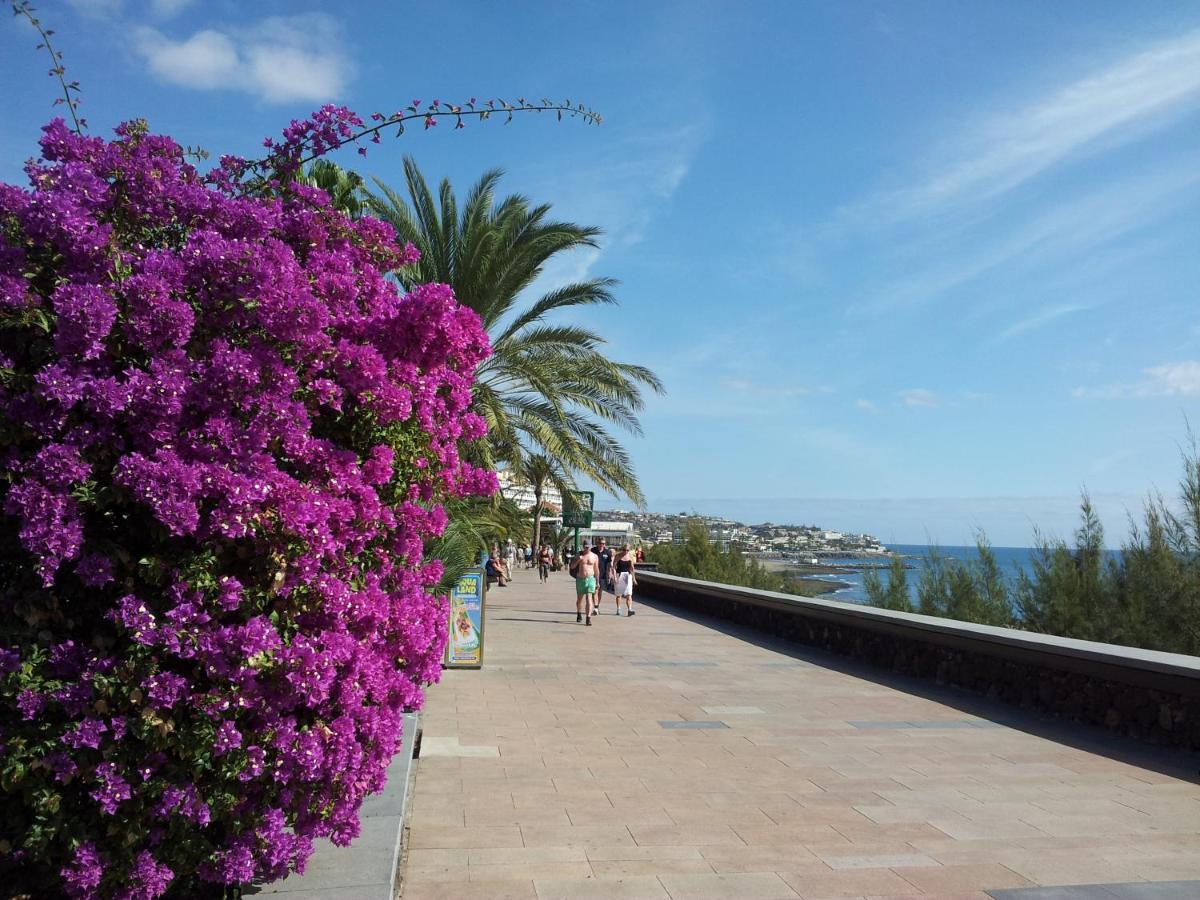 Horizonte * Playa del Ingles (Gran Canaria)