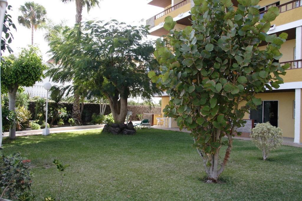 Apartment Tilos *