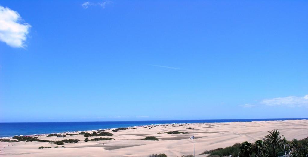 Alsol Patricio Apartment