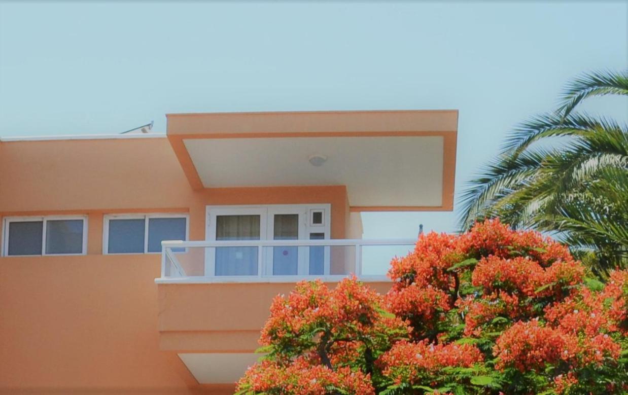 Horizonte Apartment *