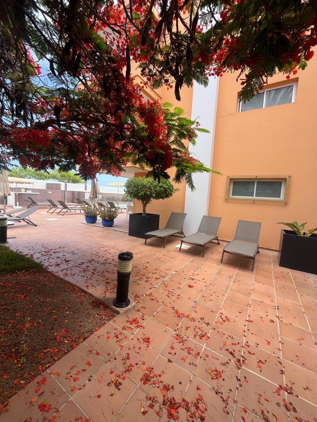 Apartment Horizonte *