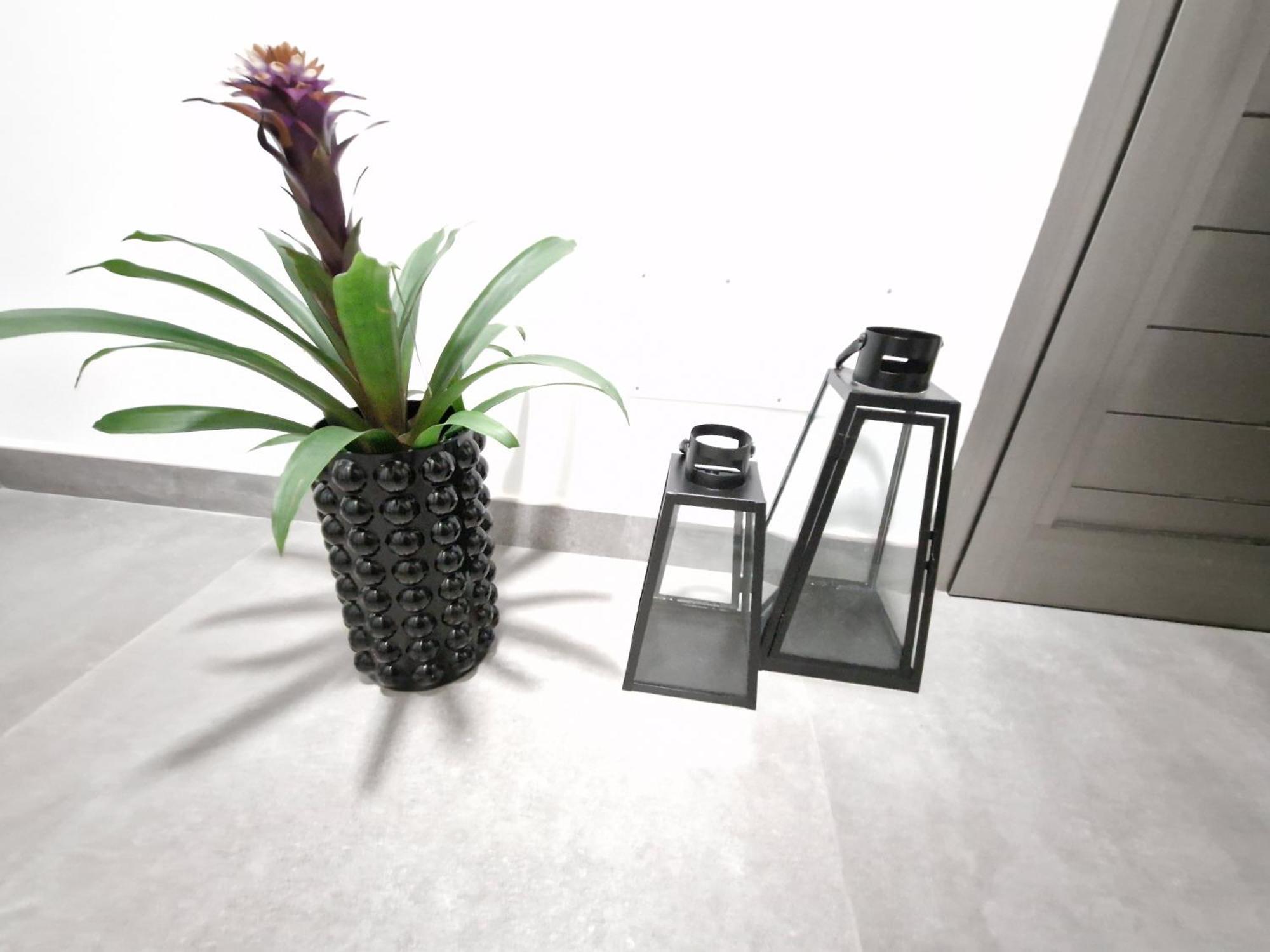 Ocean Surf Apartment Playa Del Hombre