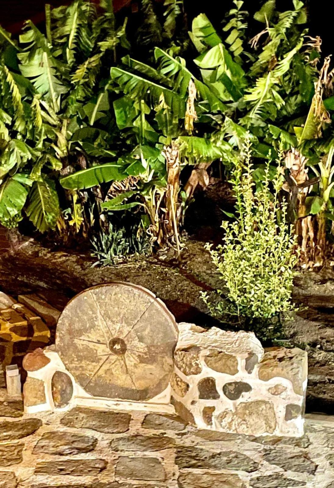 Parralito By Villagrancanaria Villa