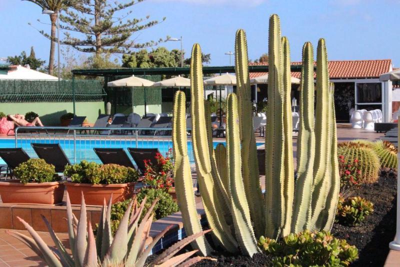 Aqua Beach Bungalows - Gay Men Only (adults Only)