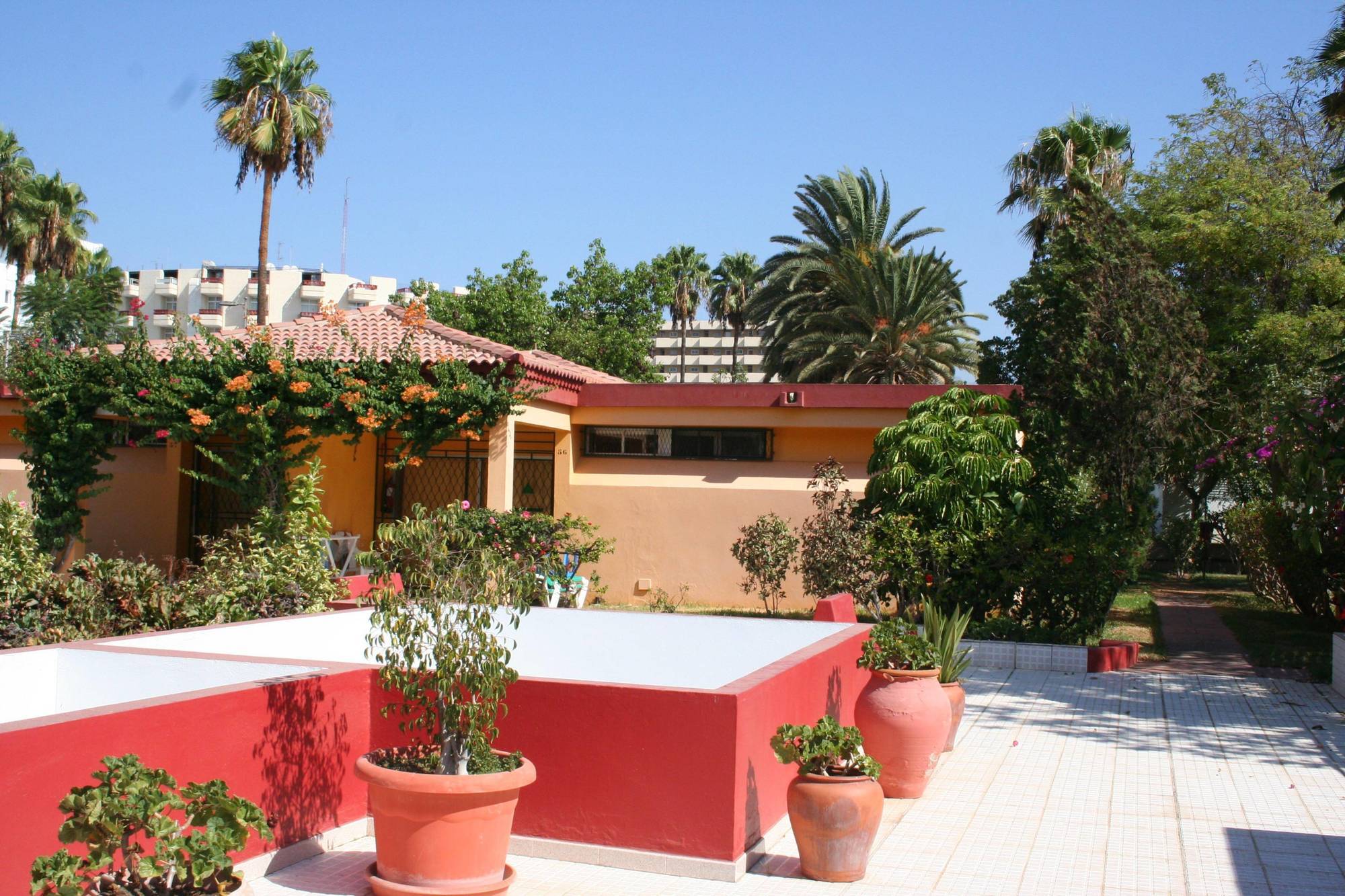 Artemisa Playa del Ingles (Gran Canaria)