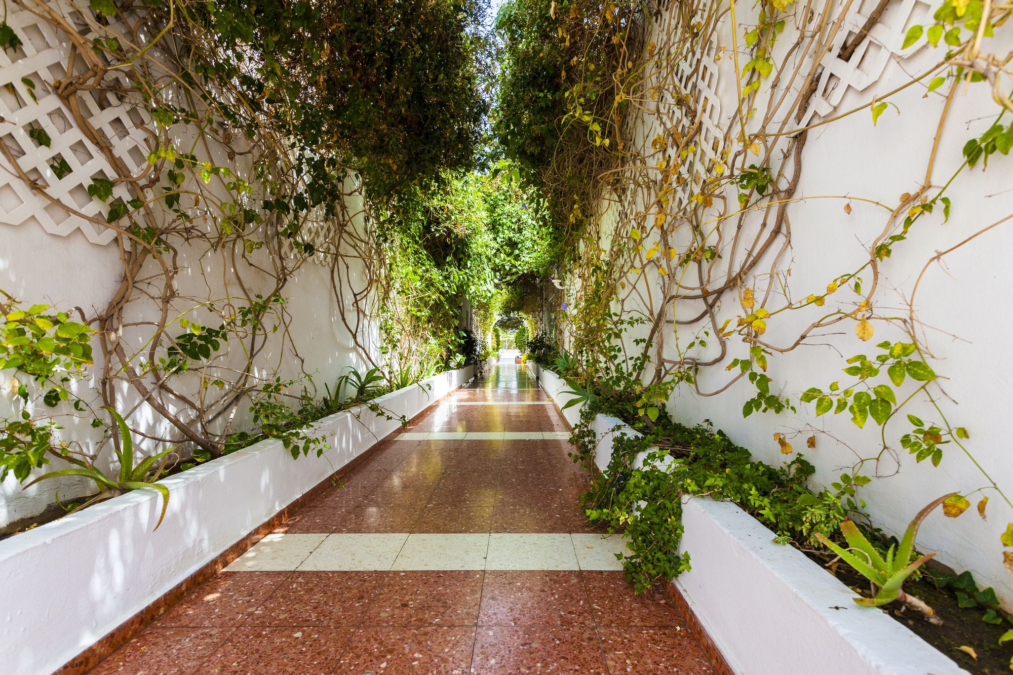 Parque Paraiso I Apartment Playa del Ingles (Gran Canaria)